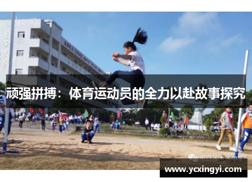 顽强拼搏：体育运动员的全力以赴故事探究